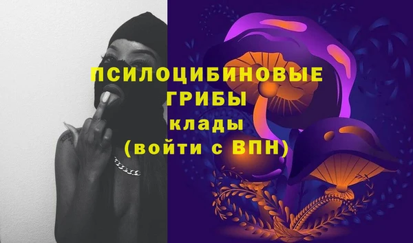 первитин Мегион
