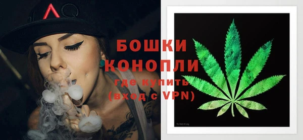 альфа пвп Медвежьегорск