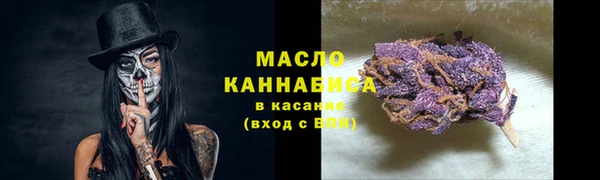 ГАЛЛЮЦИНОГЕННЫЕ ГРИБЫ Михайлов