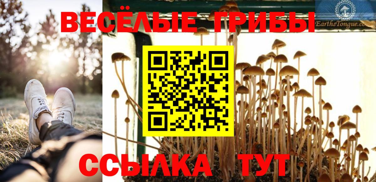 Астрахань  Галлюциногенные грибы прущие грибы  где найти наркотики  Вход с VPN 
