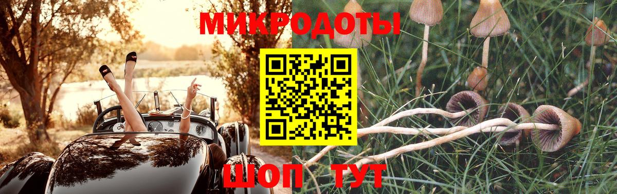 Псилоцибиновые грибы мухоморы Астрахань
