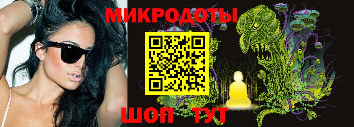 Галлюциногенные грибы Cubensis  Псилоцибиновые грибы Psilocybe  наркошоп  Астрахань 